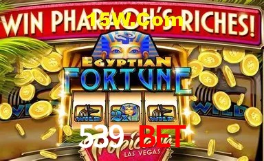 Experiência VIP 539 Bet